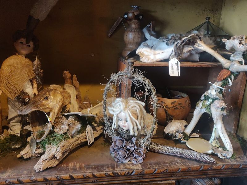 Strange Oddities And Anatomicals