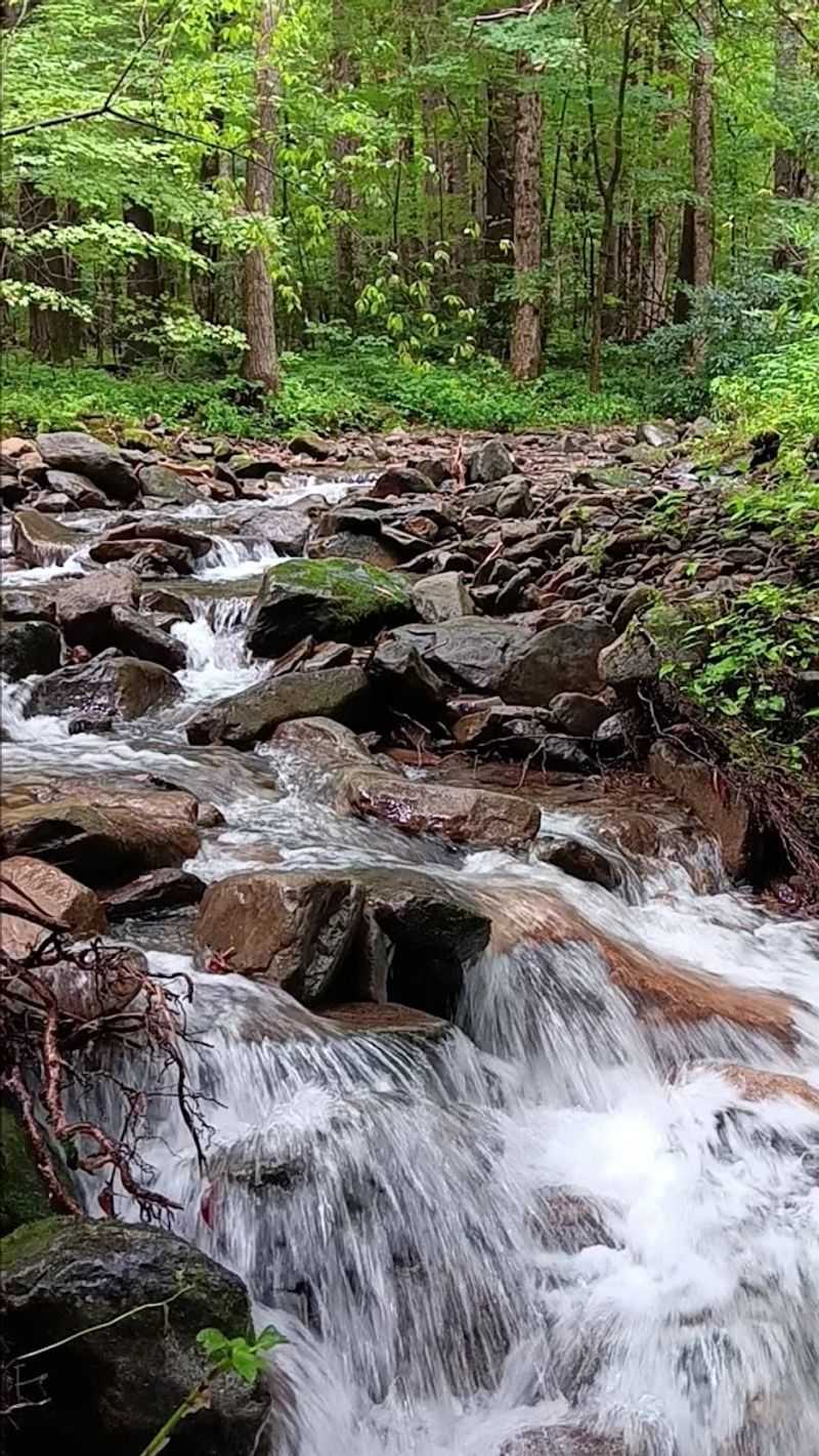 Hiking Trails Worth Every Step