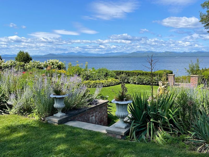 Terrace Views That Make Brunch Feel Like A Mini Getaway