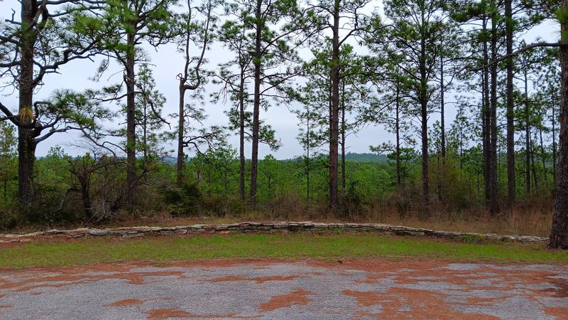 Kisatchie Hills Wilderness