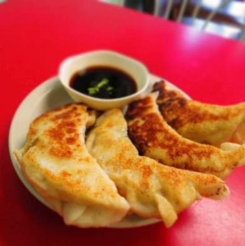 Potstickers That Require Both Hands