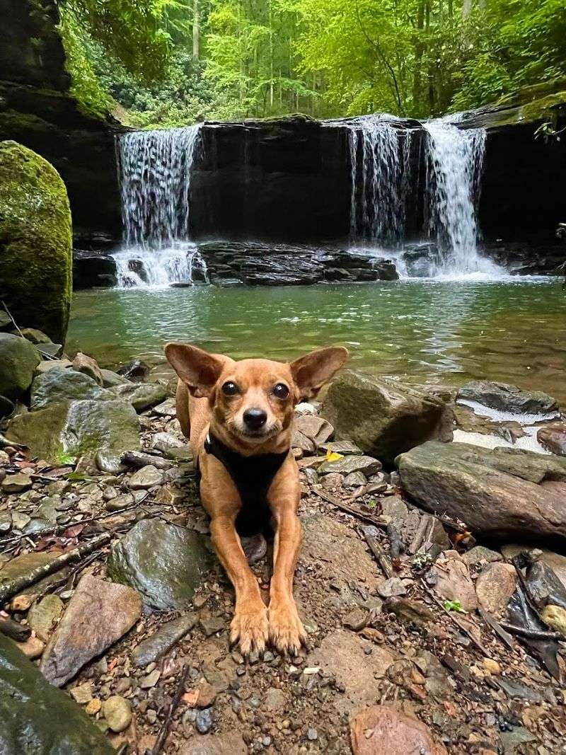 Rest Spot At Bottom