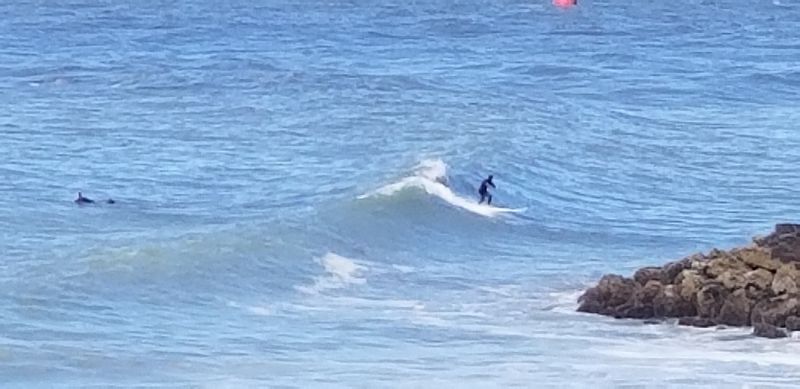 Surfing On A Coast Most People Overlook