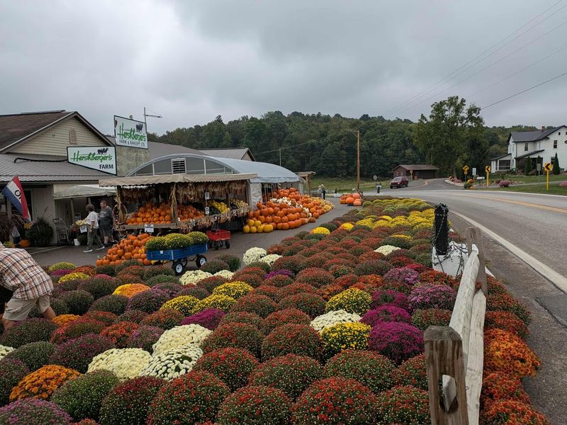 Seasonal Produce And Fresh Flowers At The Farm Stand