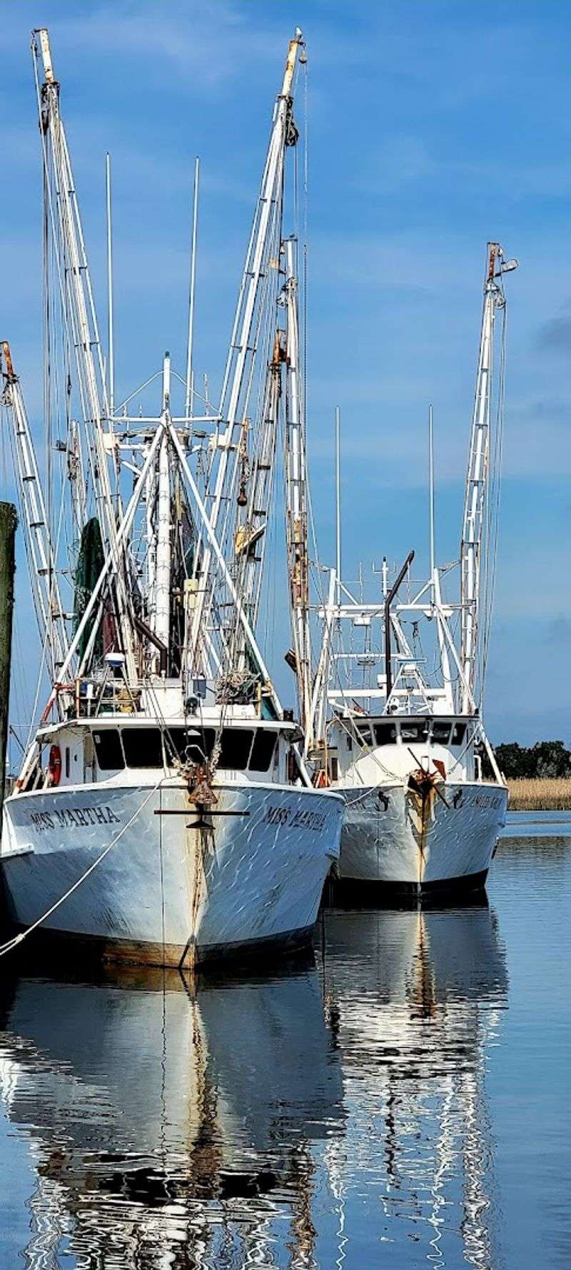 Oysters, History, and a Bay That Built a Town