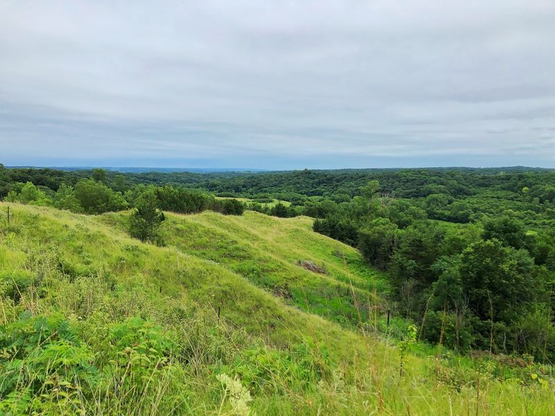 The Loess Hills Landscape That Shapes Everything