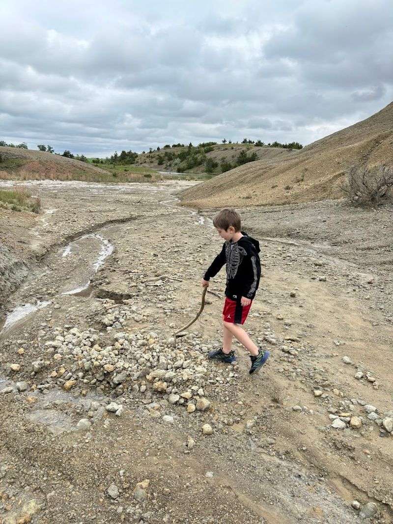 Navigating the Terrain Safely