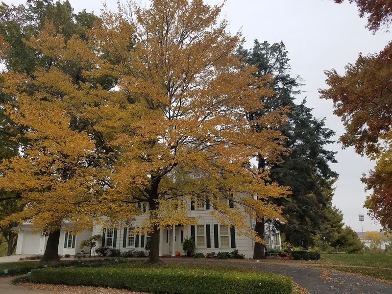 Why Atchison Deserves A Spot On Every Midwest Road Trip