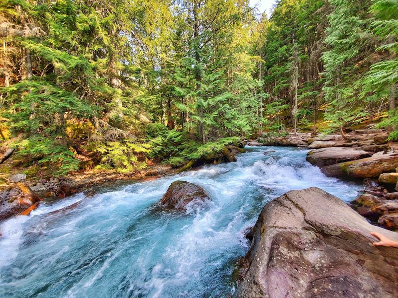The Trail That Surprises You