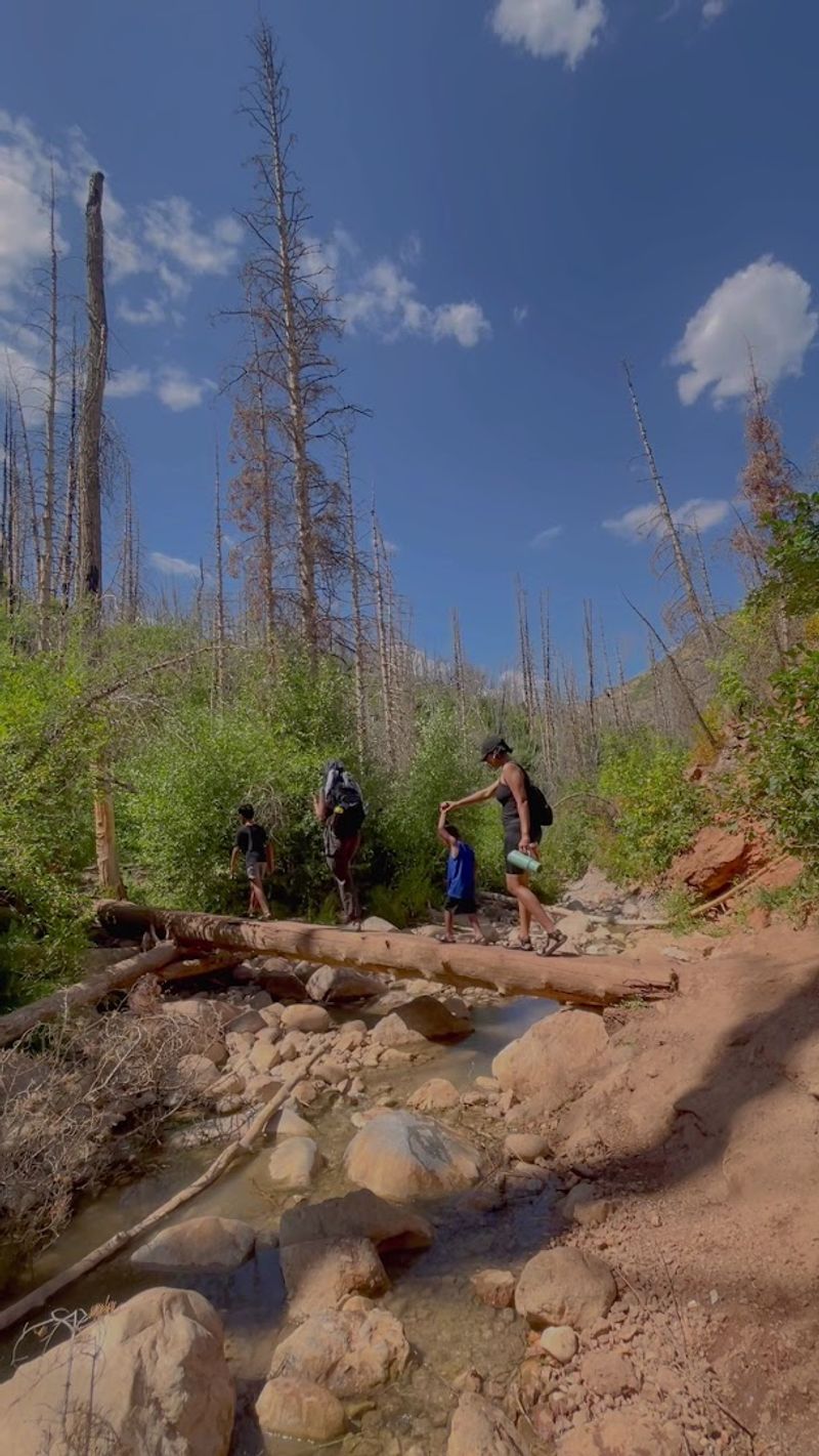 Who This Trail Is Built For And Who Should Plan Ahead