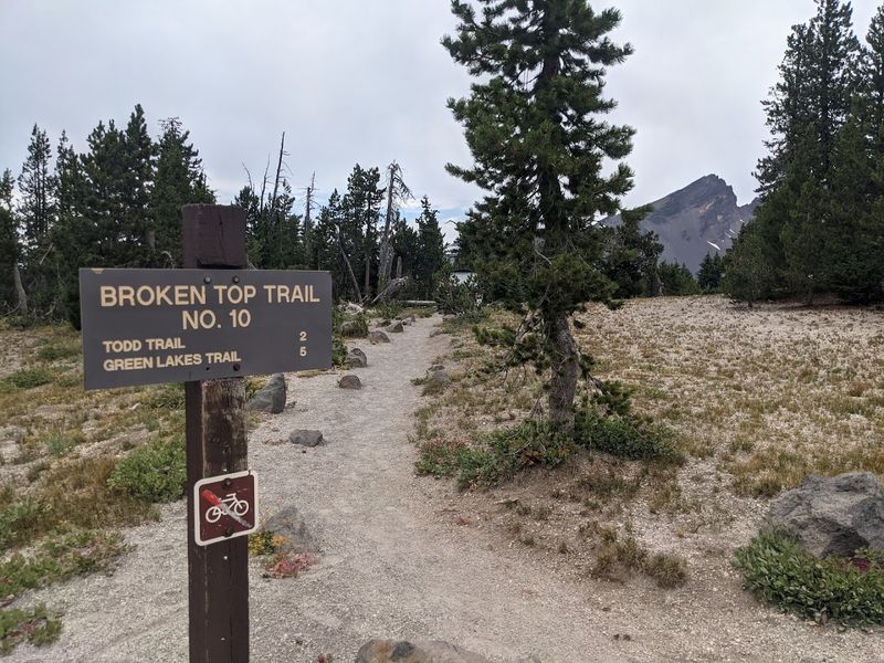 Permits And Planning Ahead
