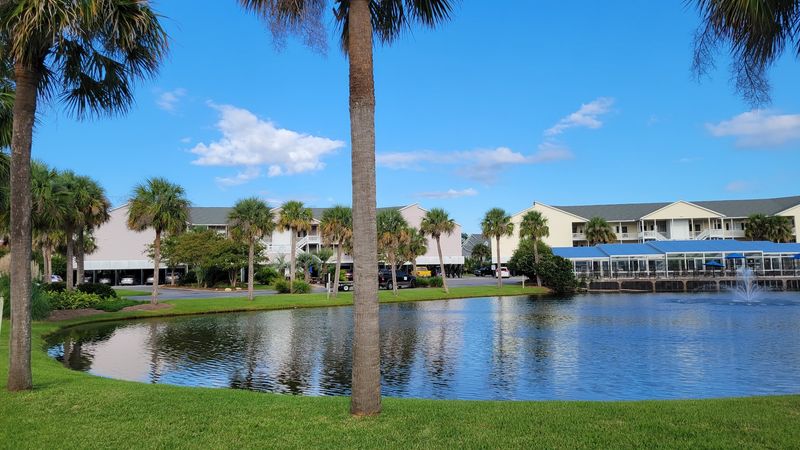 Best Times To Visit And What To Expect