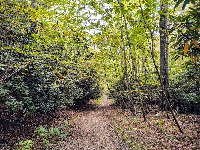 Five Miles Of Trails That Each Tell A Different Story