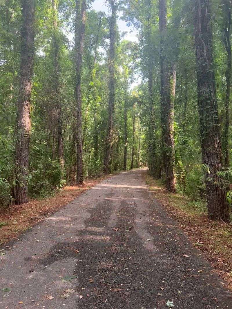 Tammany Trace For Active Days