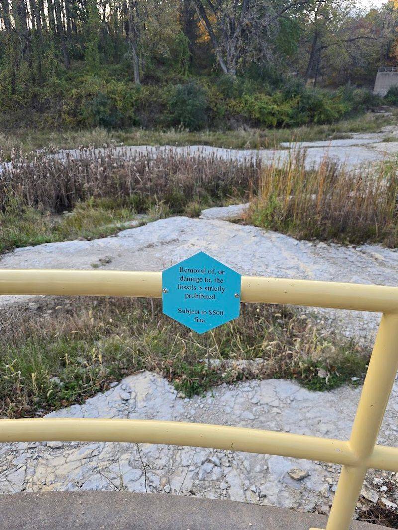 The Accessible Section Near the Parking Lot