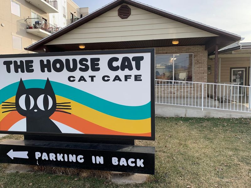 Making It A Mini Plan Around Ogden