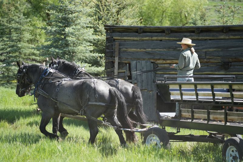 Seasonal Magic: From Summer Trails To Winter Sleigh Rides