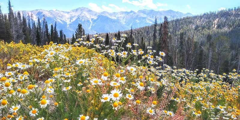 Why July Is The Magic Month