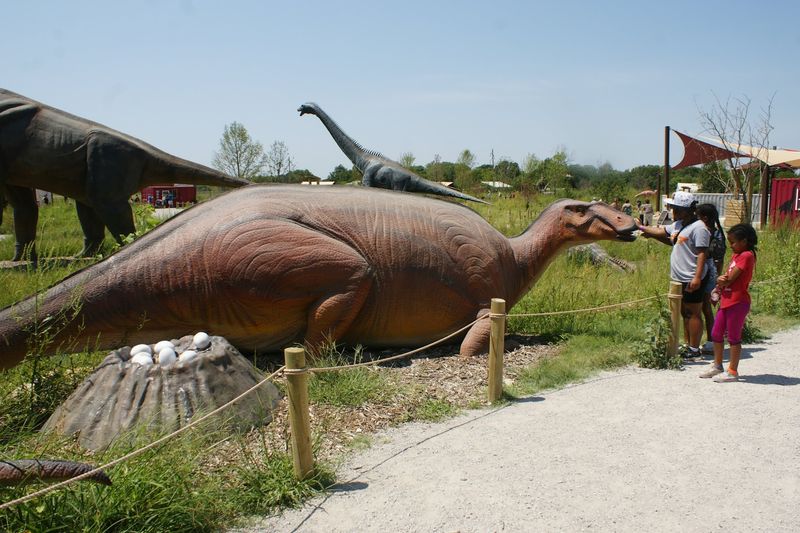 Fossil Dig Area For Aspiring Paleontologists