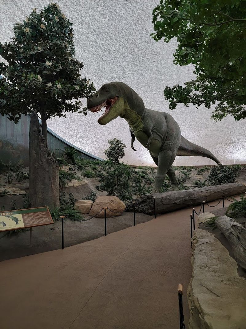 Dinosaur Exhibits That Bring The Cretaceous To Life