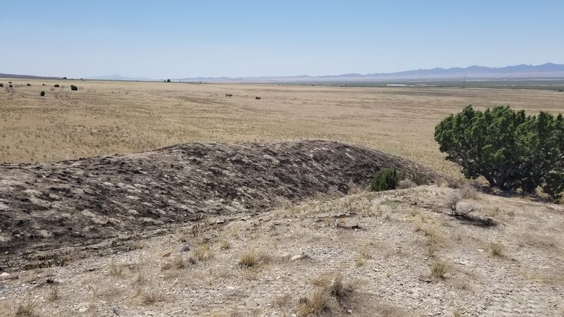 Hiking To The Petroglyph Rock: A Desert Reward Worth Earning