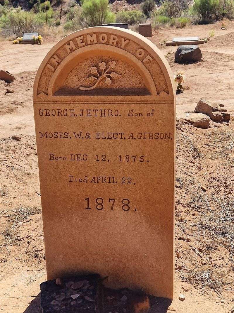 What the Graves Reveal About Frontier Survival