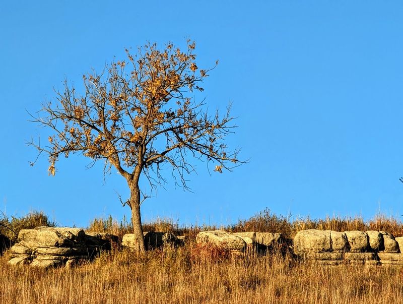 Limestone Ledges And The Ancient Ground Beneath Your Feet
