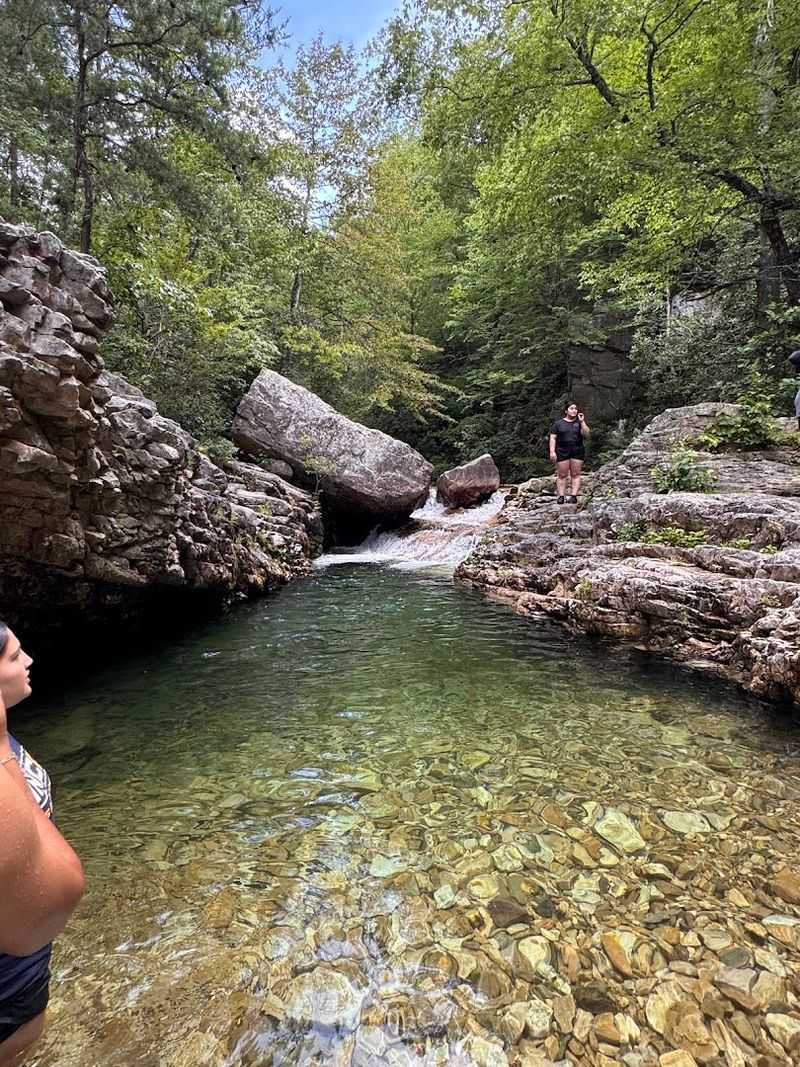 The Trail That Surprises You