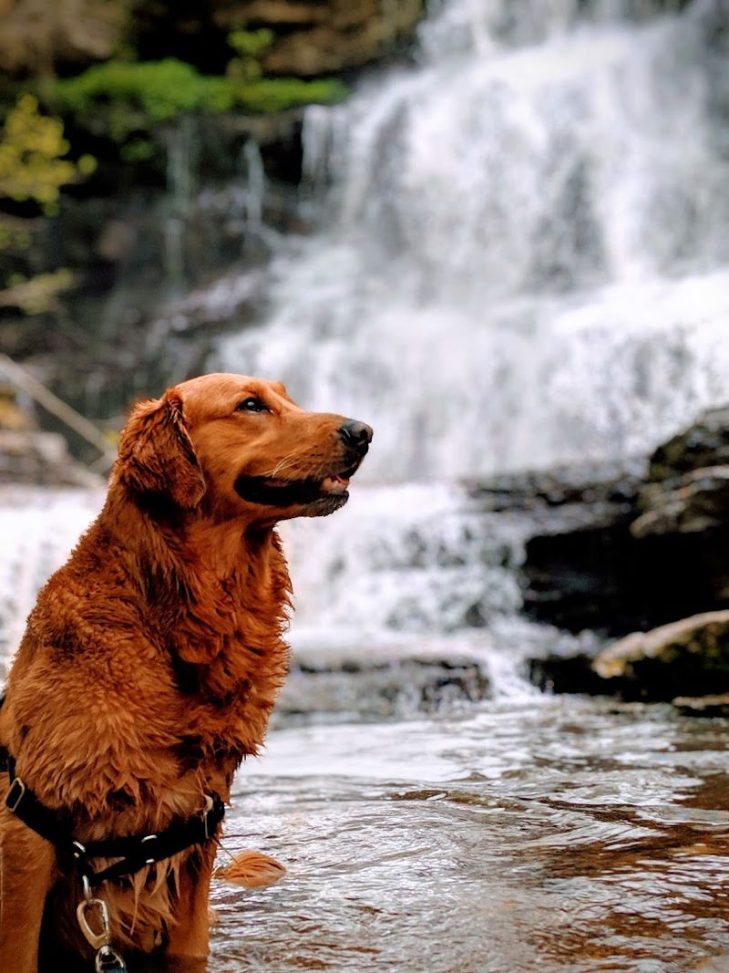 Wet Feet Are Part Of The Experience