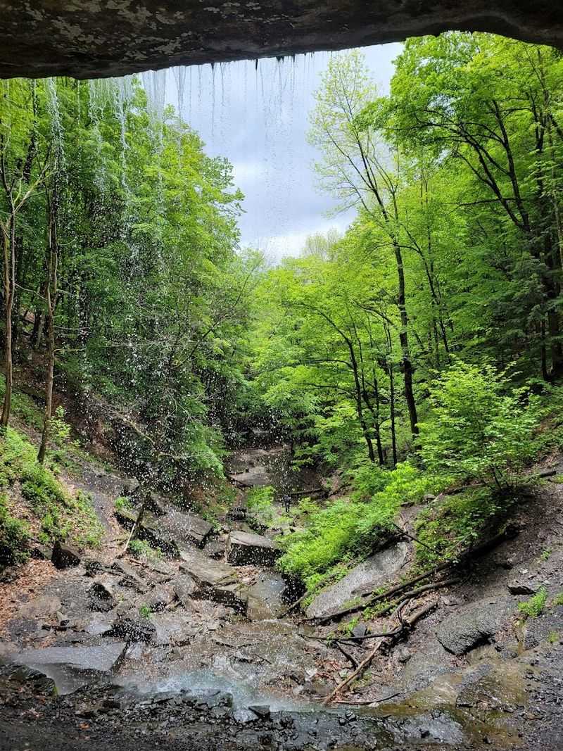 Spring And Fall Visits