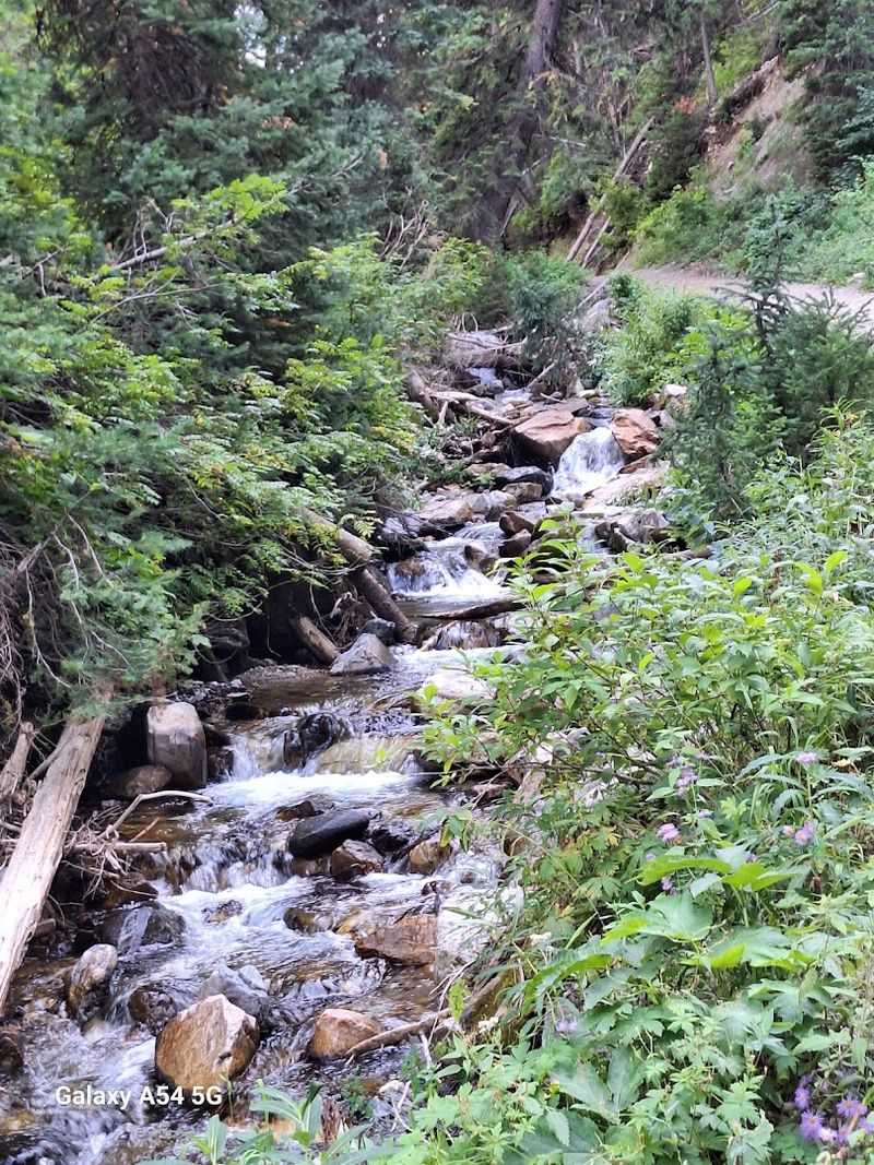 What Makes This Walk Worth Lacing Up Your Boots