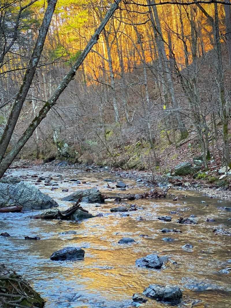 Creek Crossings That Make The Journey Feel Like An Adventure