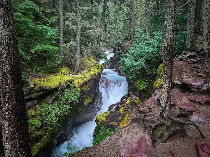 Avalanche Creek Gorge Views