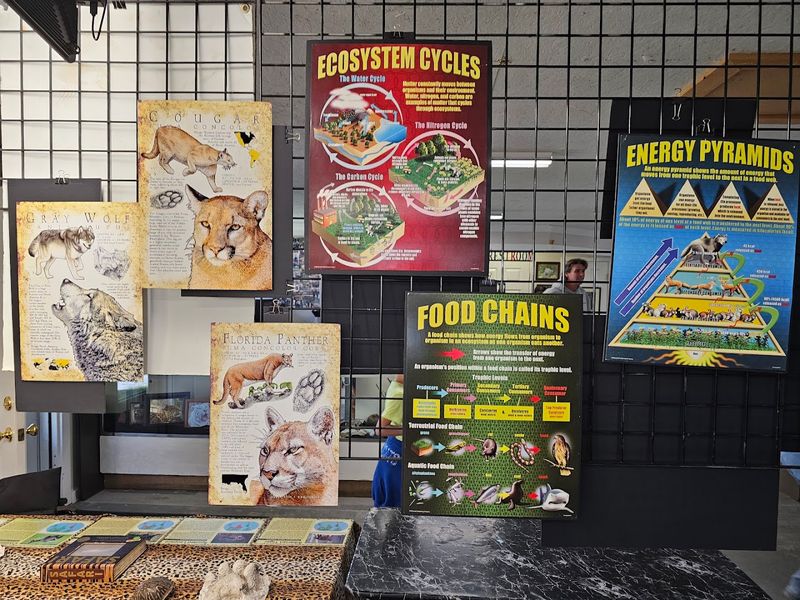 The Gift Shop And Educational Artifacts Worth Exploring