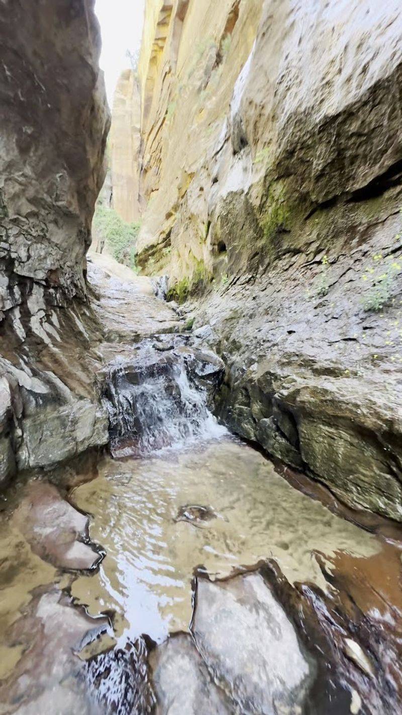 What The Trail Actually Looks Like Underfoot