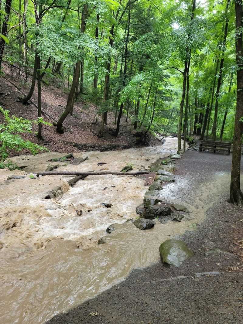 The Trail Itself