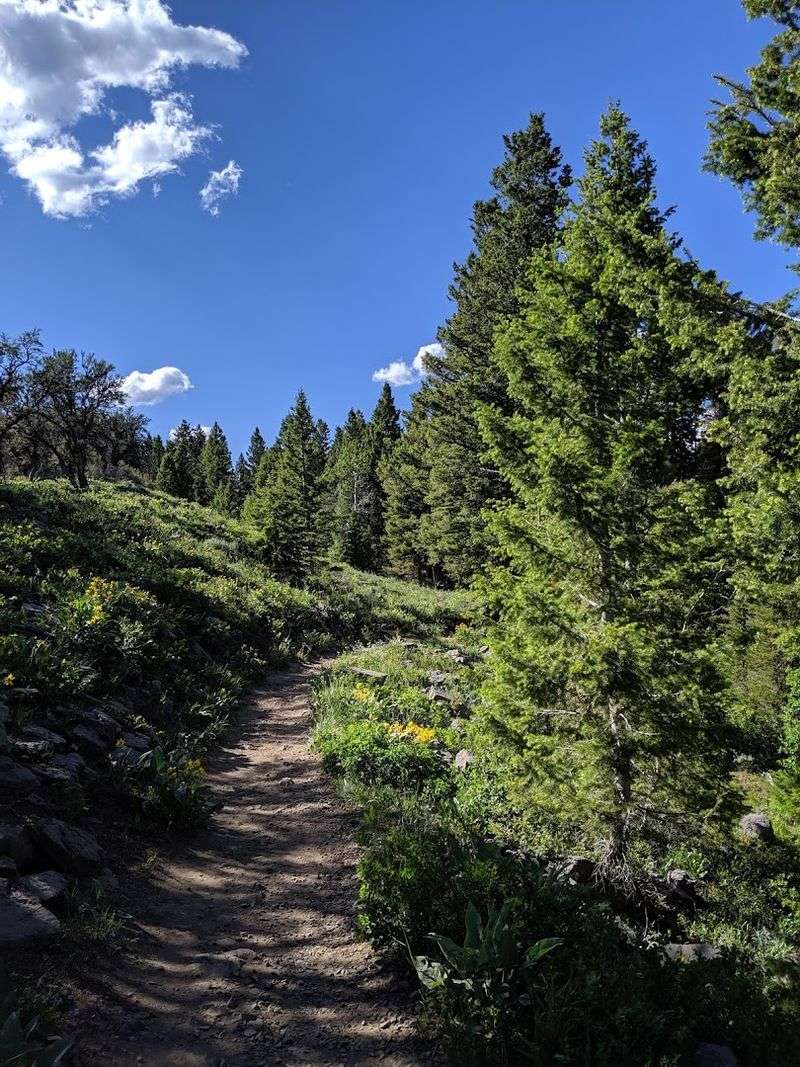 How To Make the Most of a Trail This Accessible