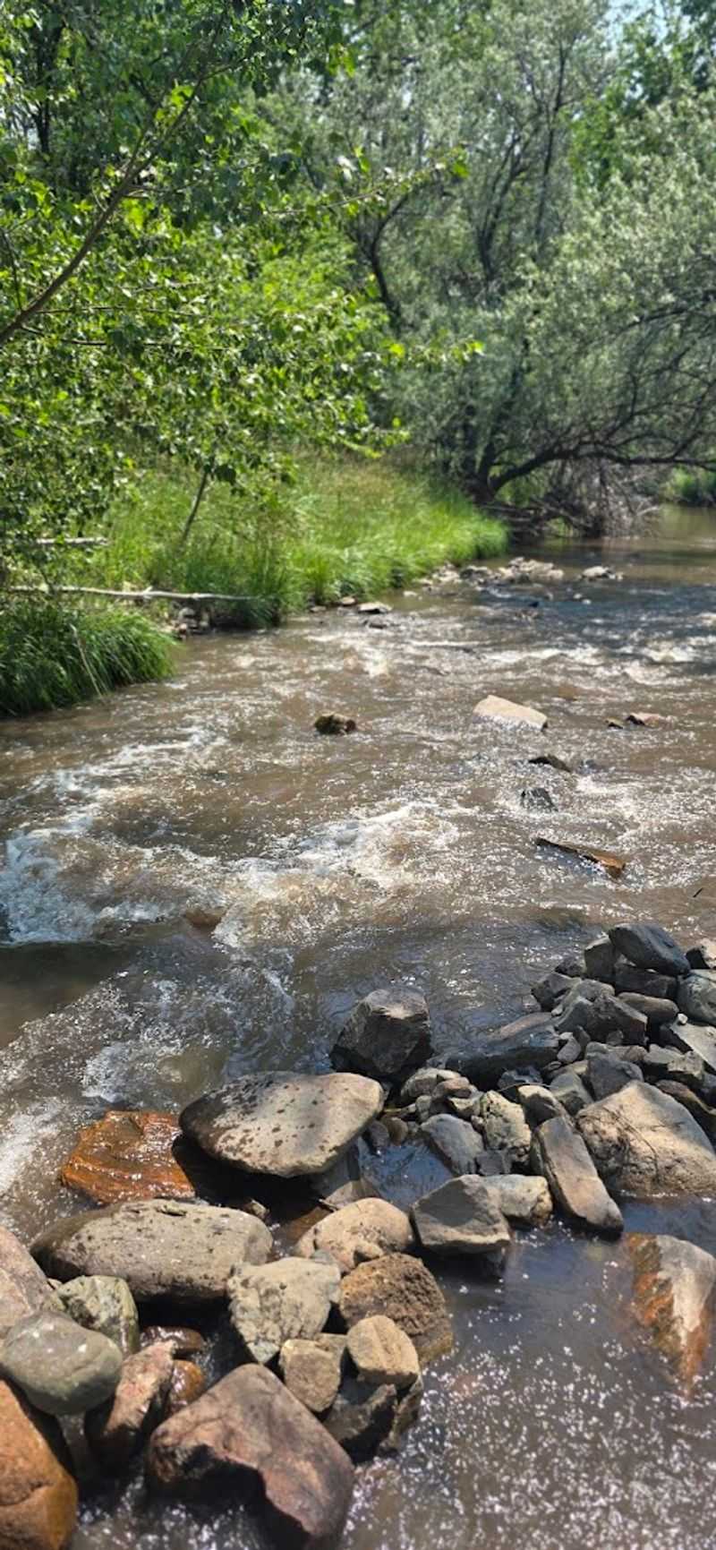 Steam Rising Beside The River