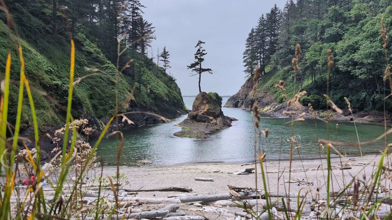A Cove With A Story