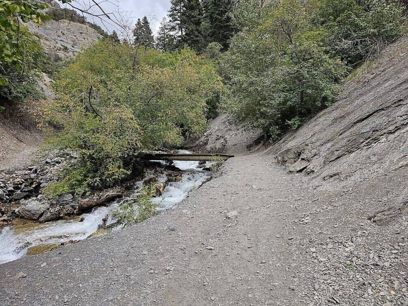 The Trail That Starts Deciding For You
