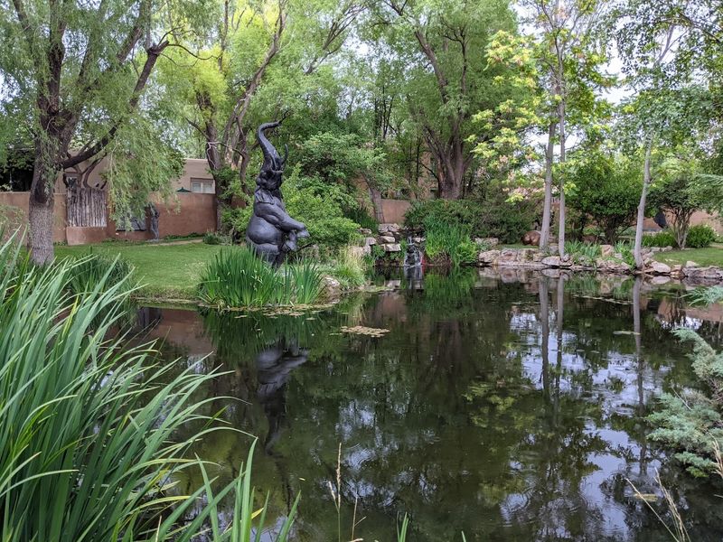 A Quiet High Desert Oasis