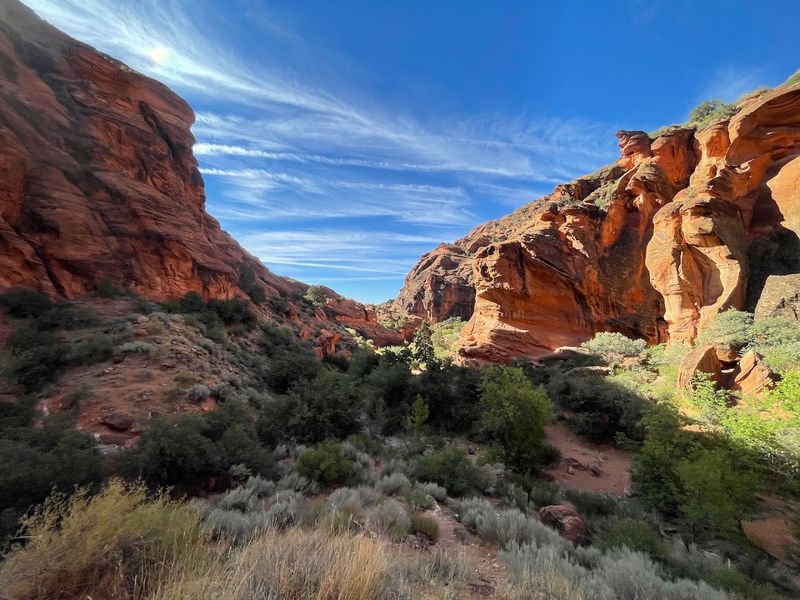 The Dinosaur Tracks: Ancient Footprints Hiding In Plain Sight