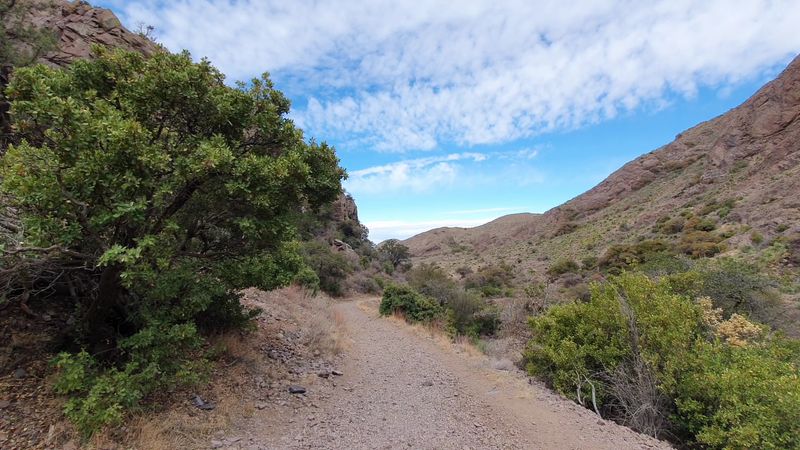 Desert Trails Framed By Rugged Mountain Views
