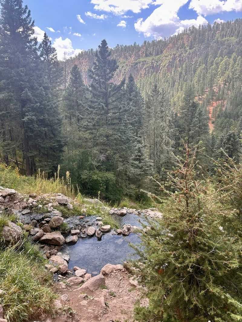 A Forest Path With A Warm Reward