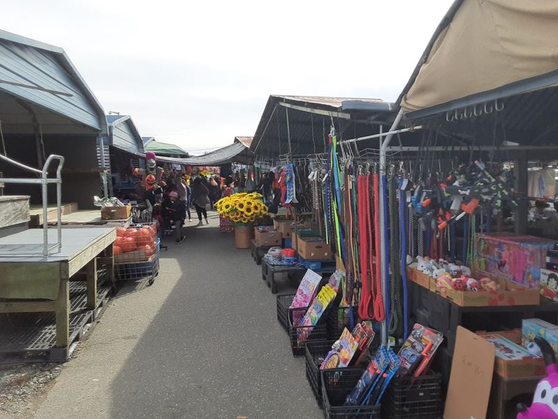 Over 500 Vendors Await