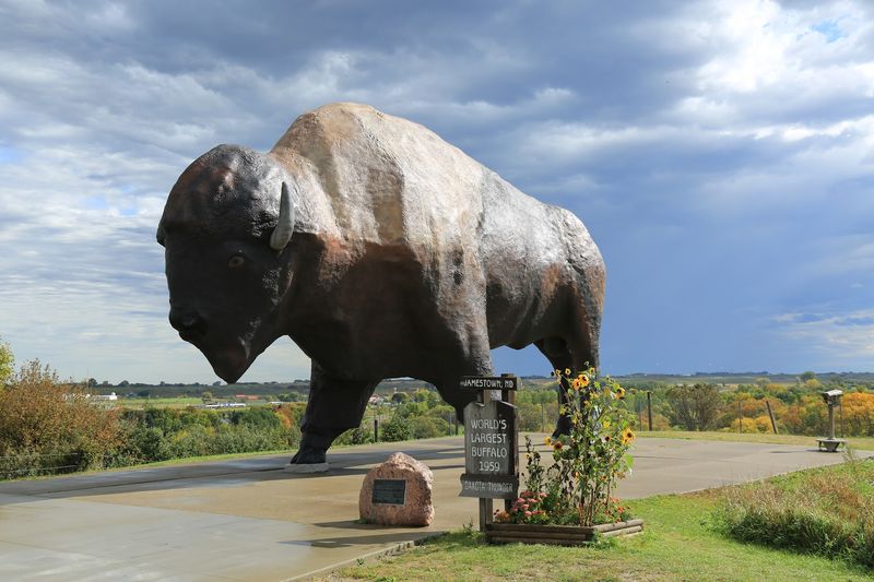 The World's Largest Buffalo