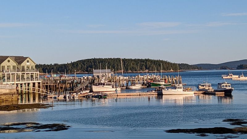 A Working Harbor That Means Business