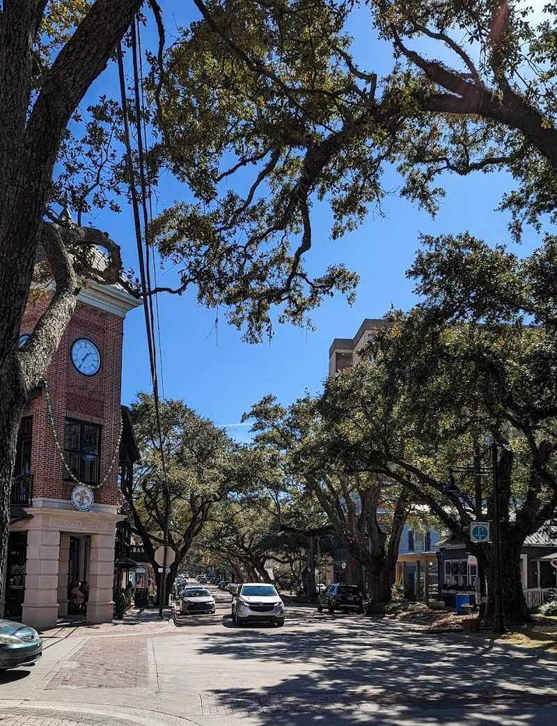 The Live Oak Bicycle Route and Why Retirees Never Stop Riding It