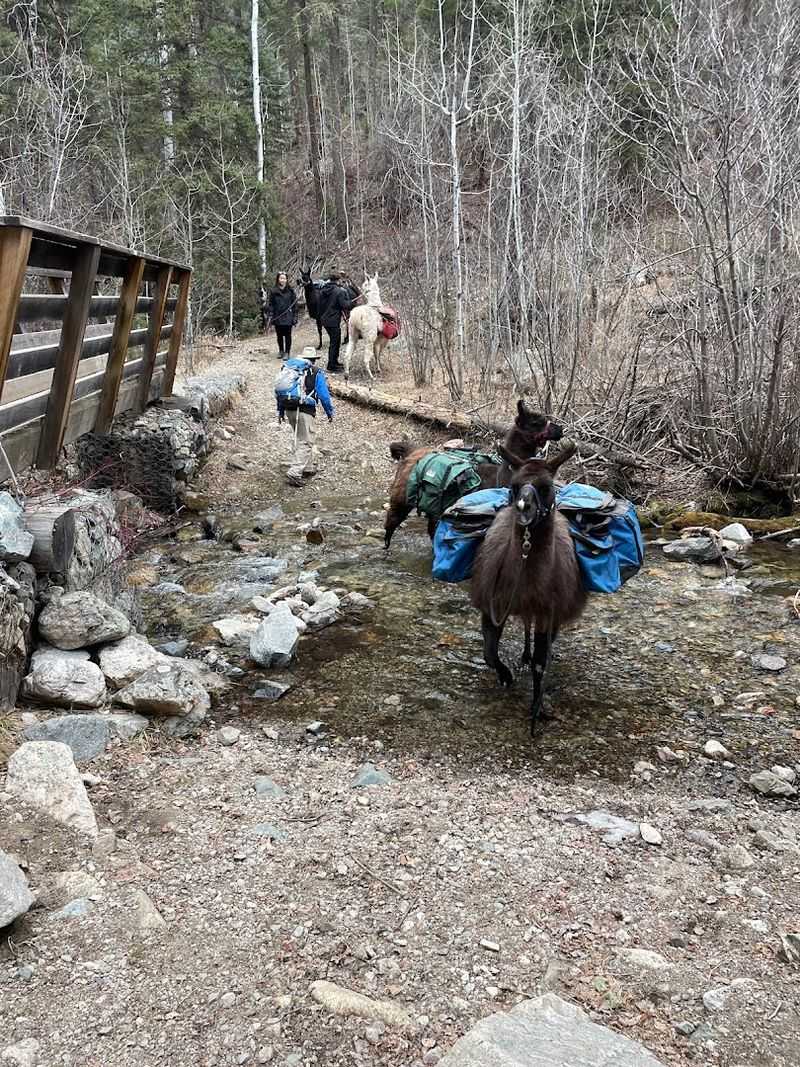 Quiet Trails Through High Desert Beauty