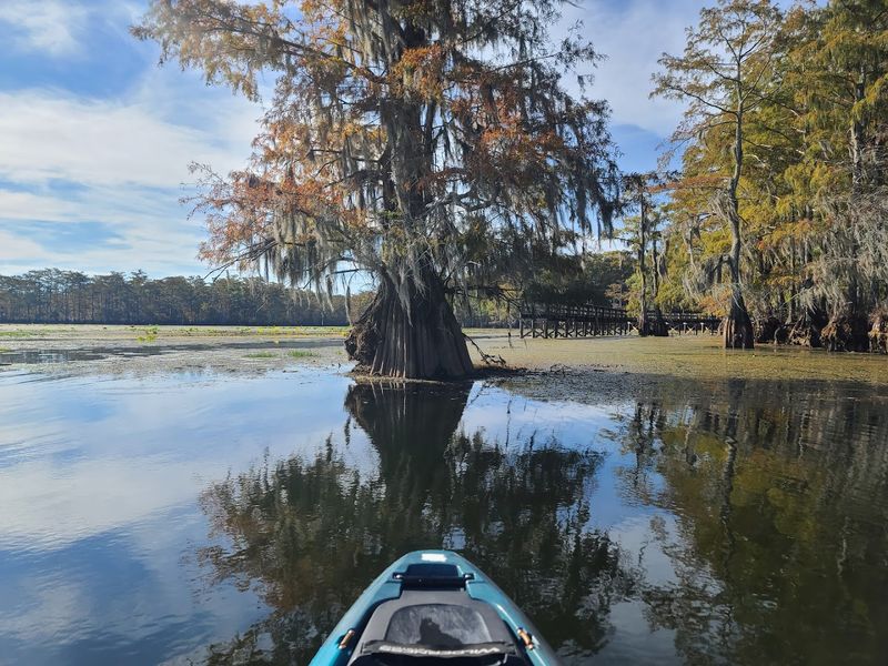 Go Fishing Or Boating On Lake Chicot